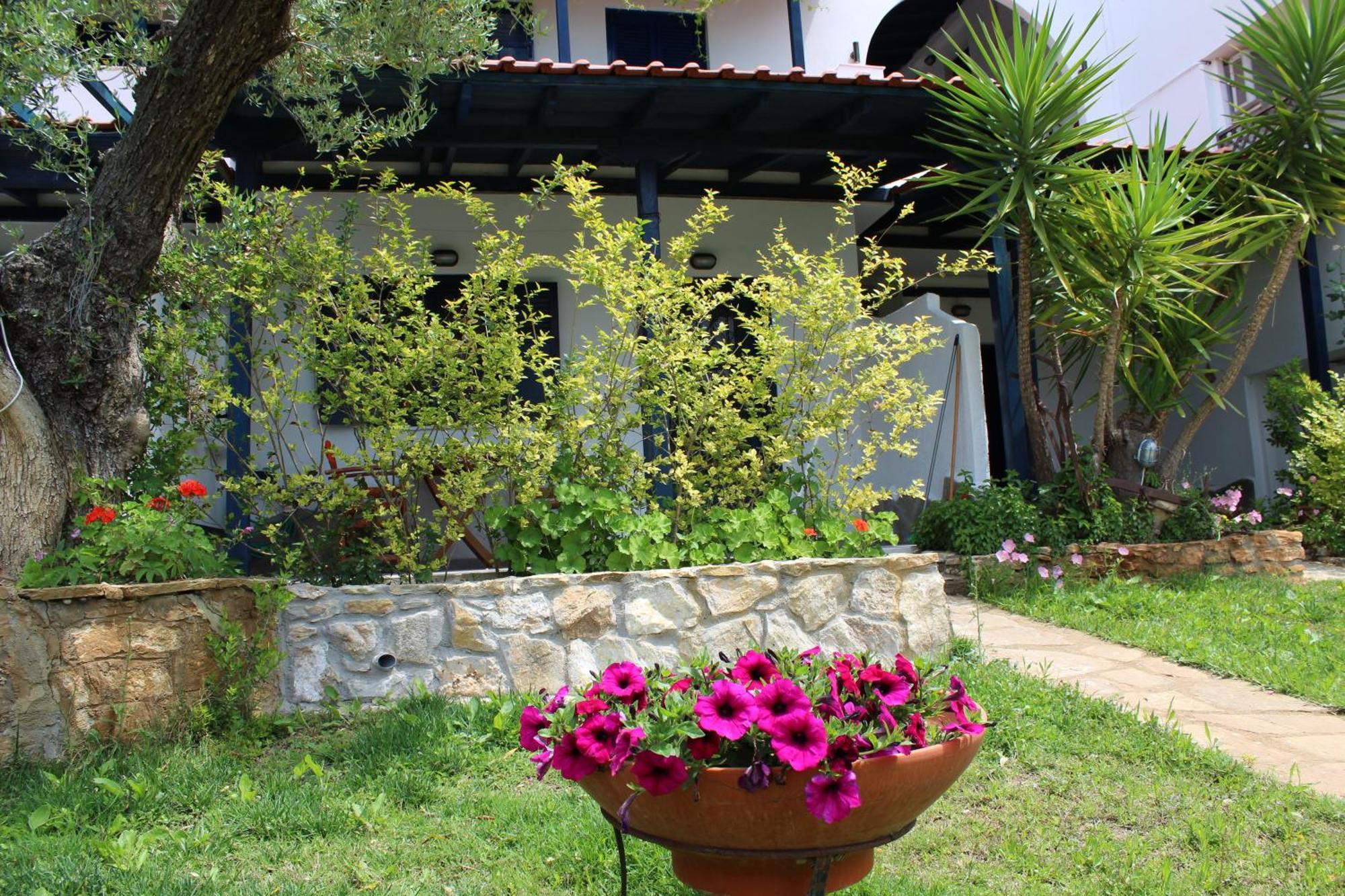 Olive House Apartman Eliá Kültér fotó