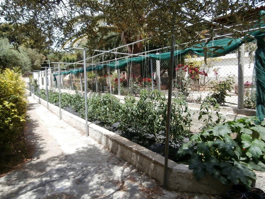 Olive House Apartman Eliá Kültér fotó