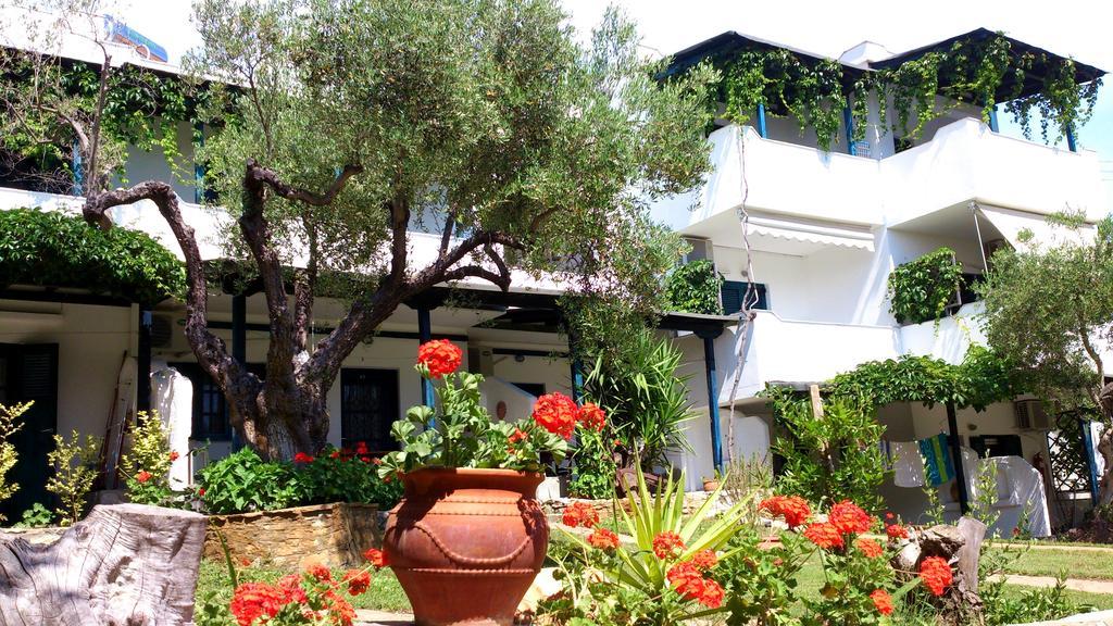 Olive House Apartman Eliá Kültér fotó